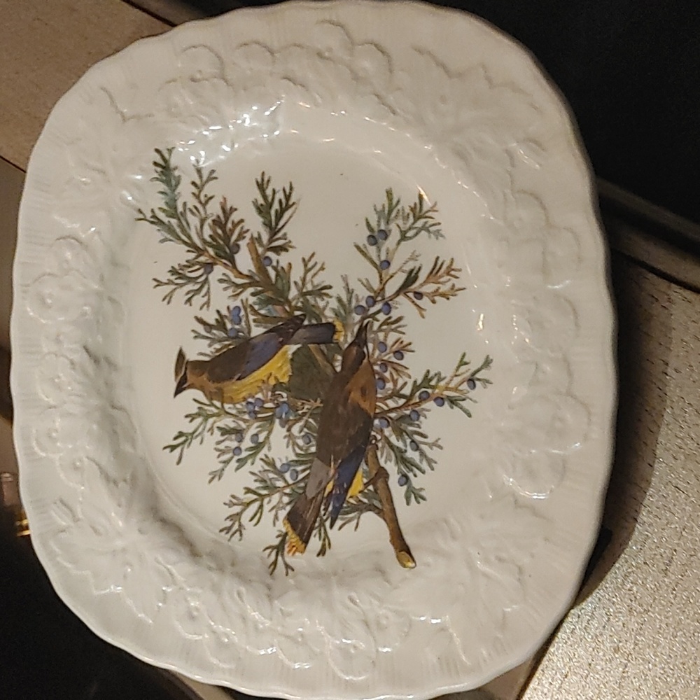 Bombycilla Carolinensis Cedar Bird Plate